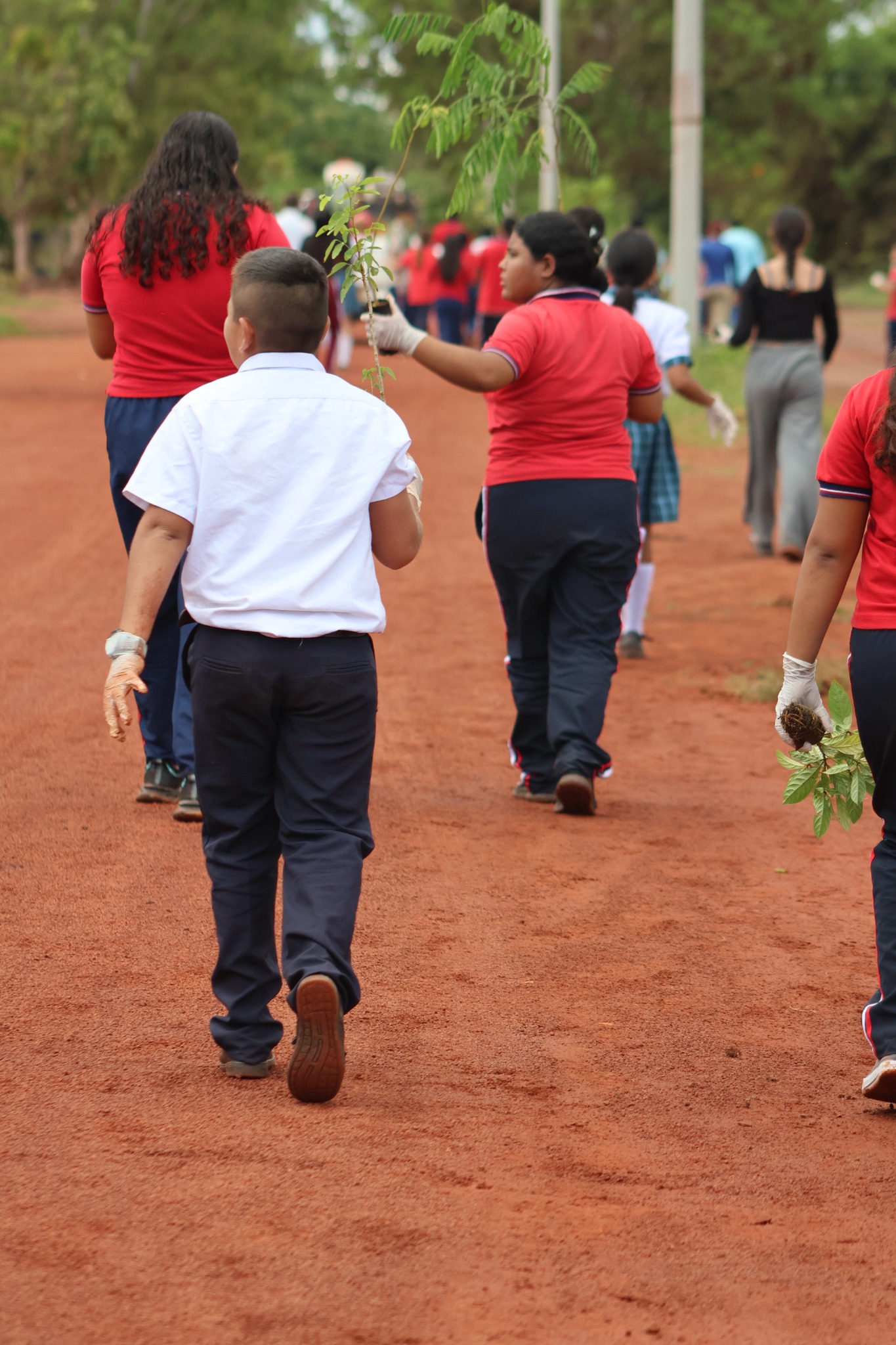 Personas caminan con plántulas durante una jornada de siembra